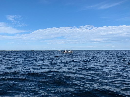 Steve Brahmstadt - IMG_6285.jpg